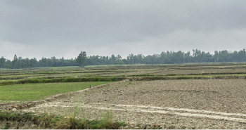 मंसिरमा घरजग्गाको कारोबारबाट करिब चार अर्ब राजश्व संकलन